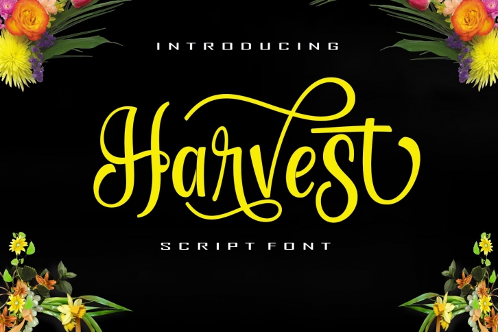 Harvest Font Download