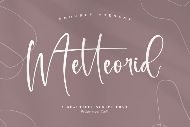 Metteorid Beautiful Script Font LS Font Download