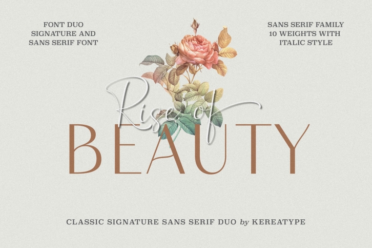 Rise of Beauty Font Download
