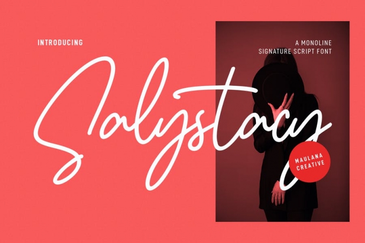 Salystacy Monoline Signature Script Font Font Download
