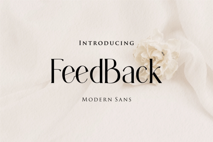 Feedback Font Download