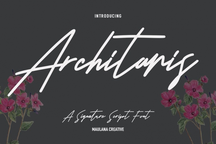 Architaris Signature Font Font Download