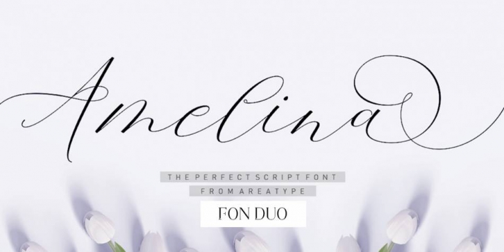 Amelina script Font Download