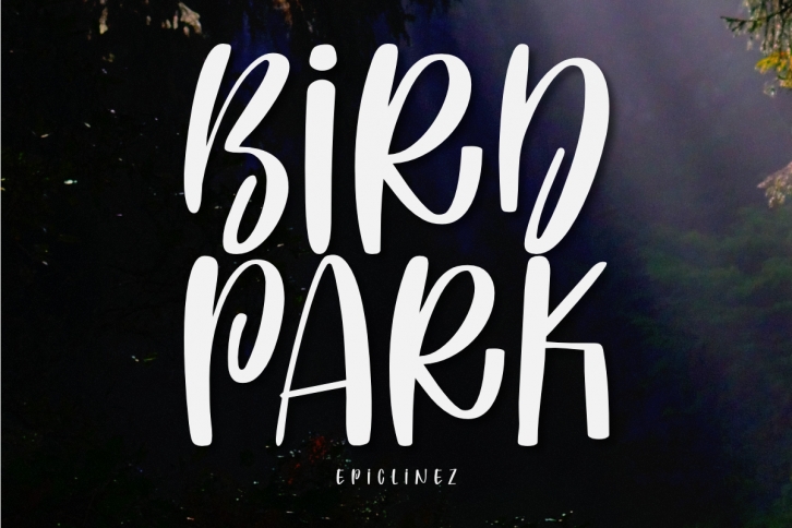 Bird Park Font Download