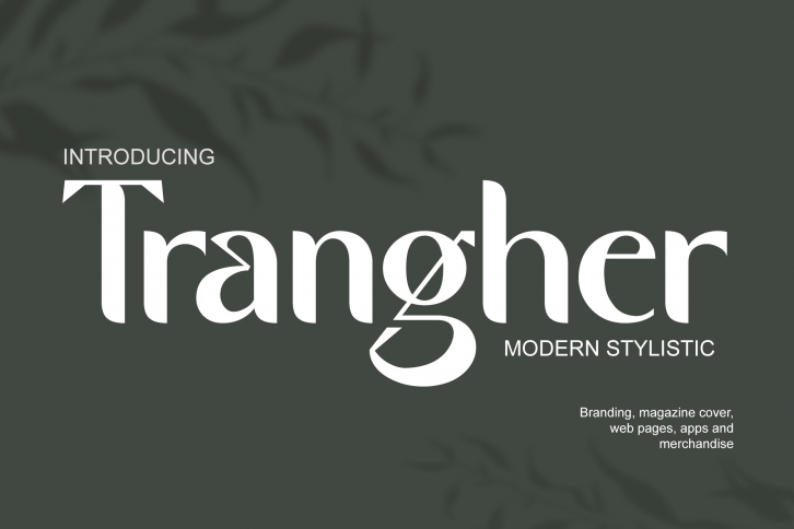 Modern Stylistic Font Download