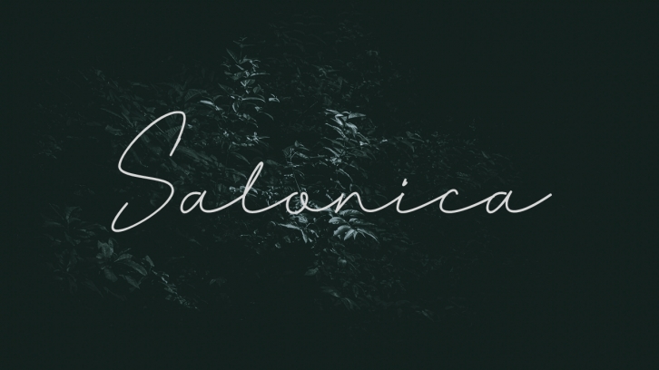 Salonica Font Download