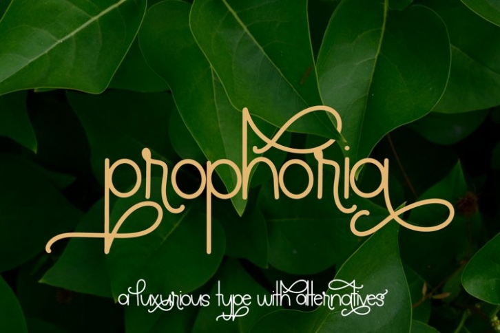 Prophoria Font Download