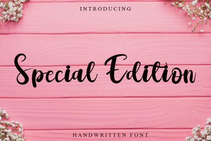 Special Edition Font Download