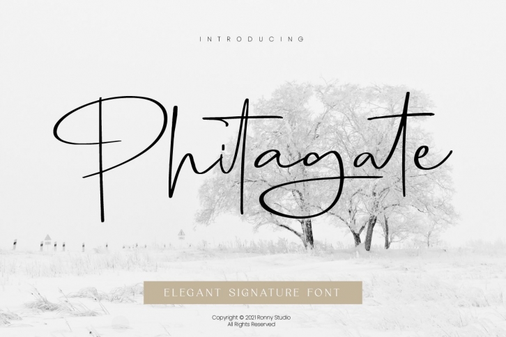 Phitagate Font Download