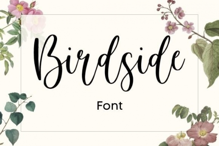 Birdside Font Download