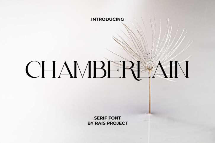 Chamberlain Font Download