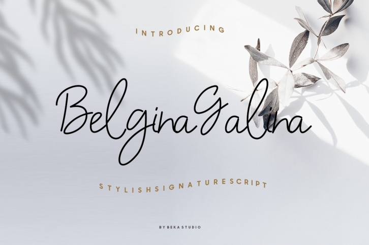 Belgina Galina Font Download