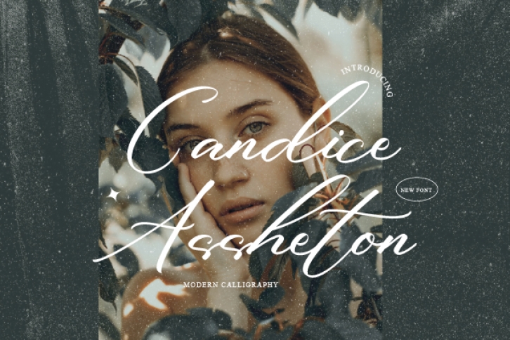 Candice Asshe Font Download