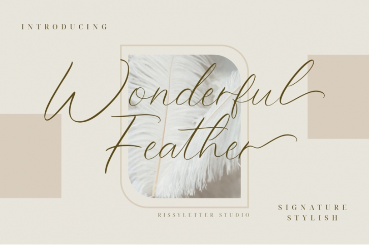Wonderful Feather | Stylish Signature Font Font Download
