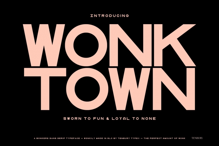 10B Wonktown Sans Font Download