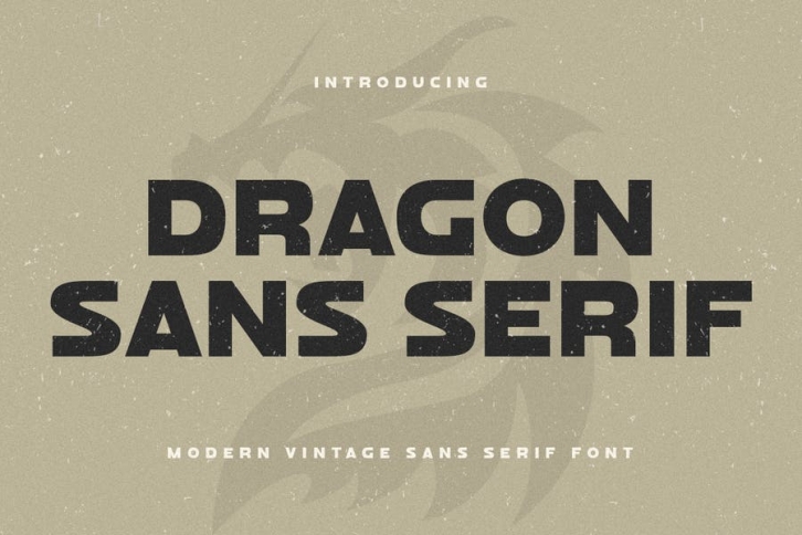 Dragon Sans Serif - Modern Vintage Sans Serif Font Font Download