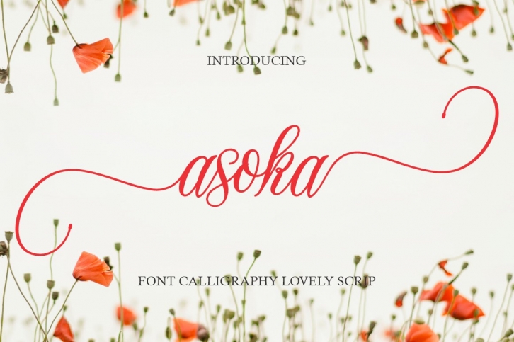 Asoka Font Download