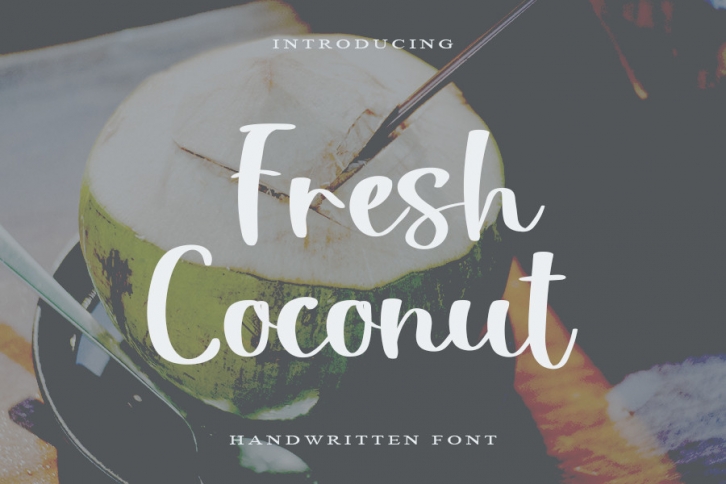Fresh Coconut Font Download