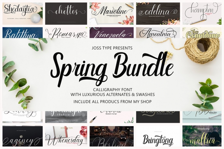 spring Bundle Calligraphies Font Download
