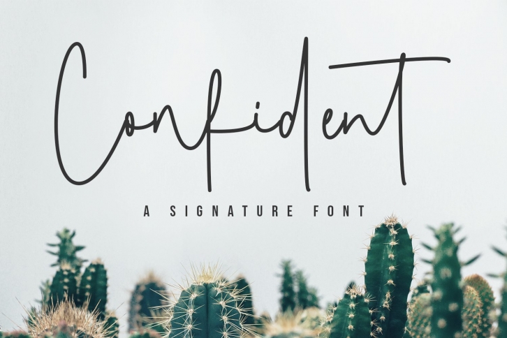 confident Font Download
