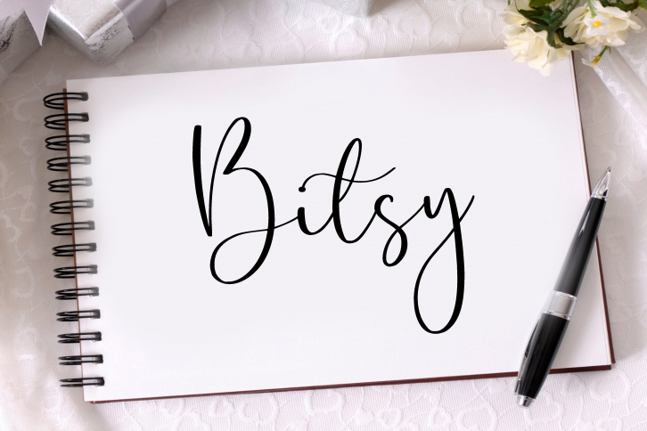 Bitsy Font Download