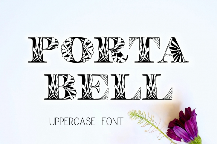 Portabell and clipart set Font Download