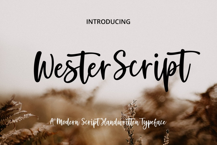 Wester Script Font Download