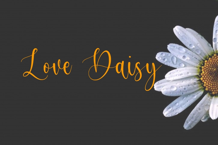 Love Daisy Font Download