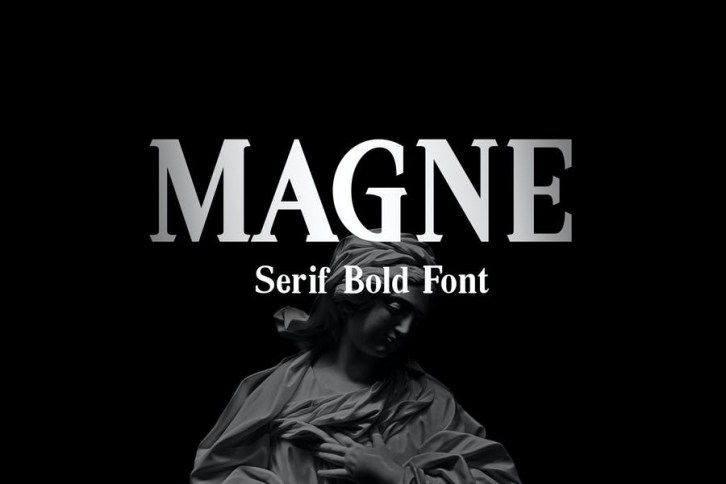 Magne - Serif Bold Font Font Download