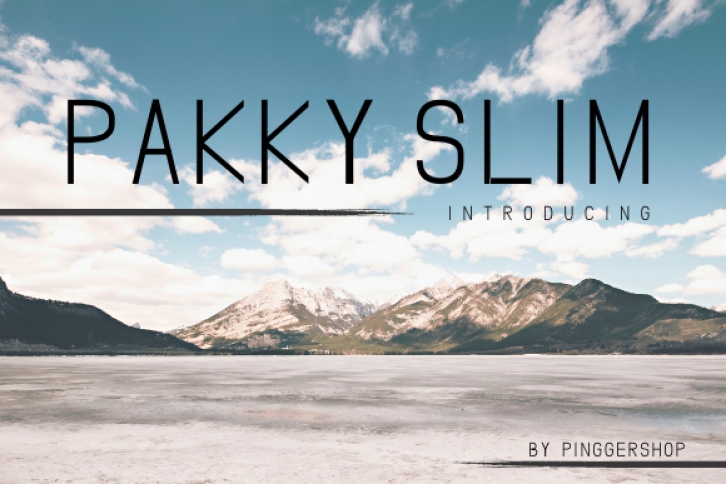 Pakky Slim Font Download