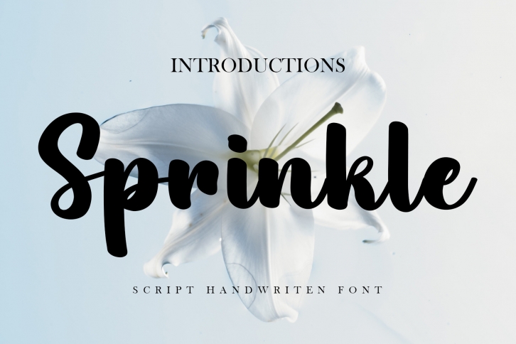 Sprinkle Font Download