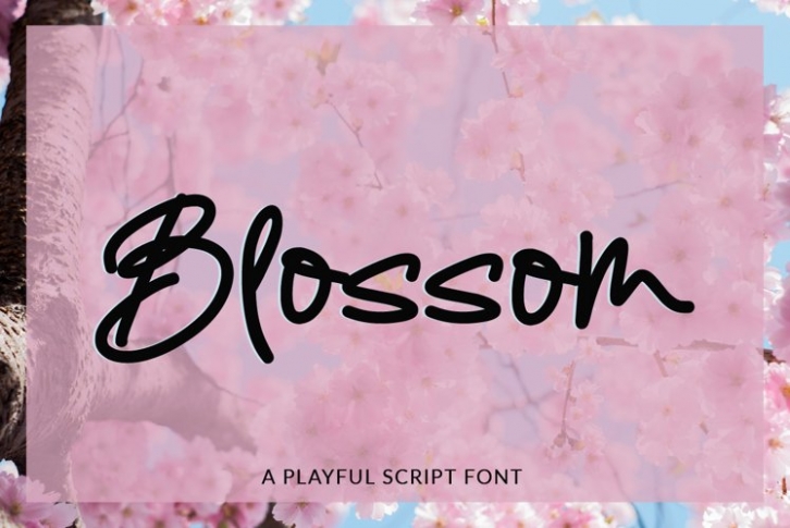 Blossom Font Download