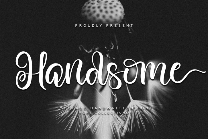 Handsome Font Download