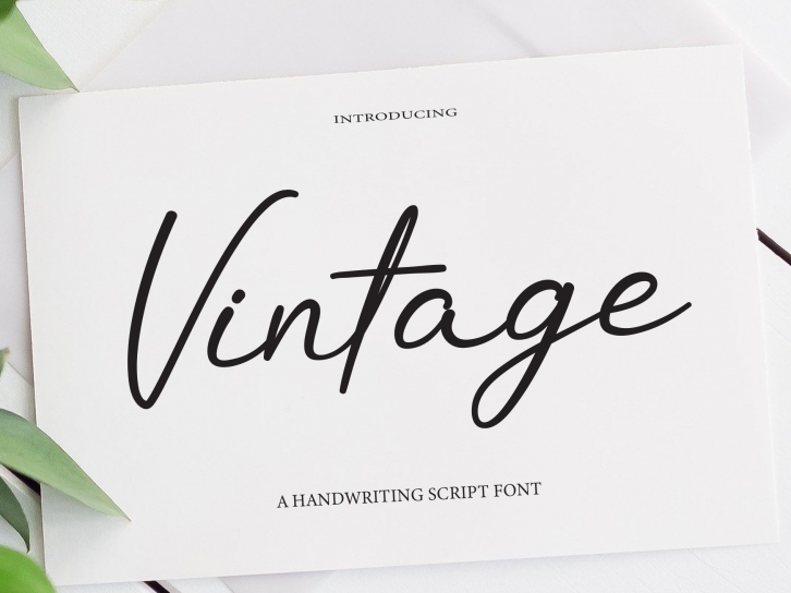 Vintage Font Download