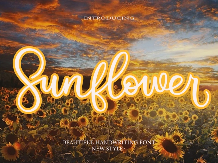 Sunflower Font Download