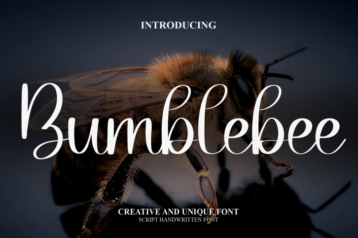 Bumblebee Font Download