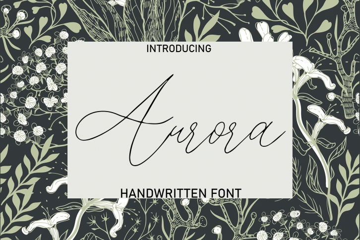 Aurora Font Download