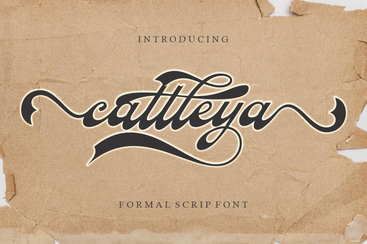 Cattleya Font Download