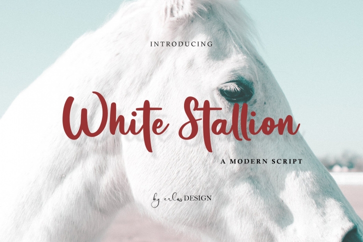 White Stallion Font Download