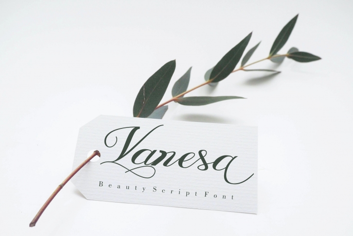 Vanesa Font Download