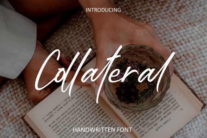 Collateral Damage Font Download
