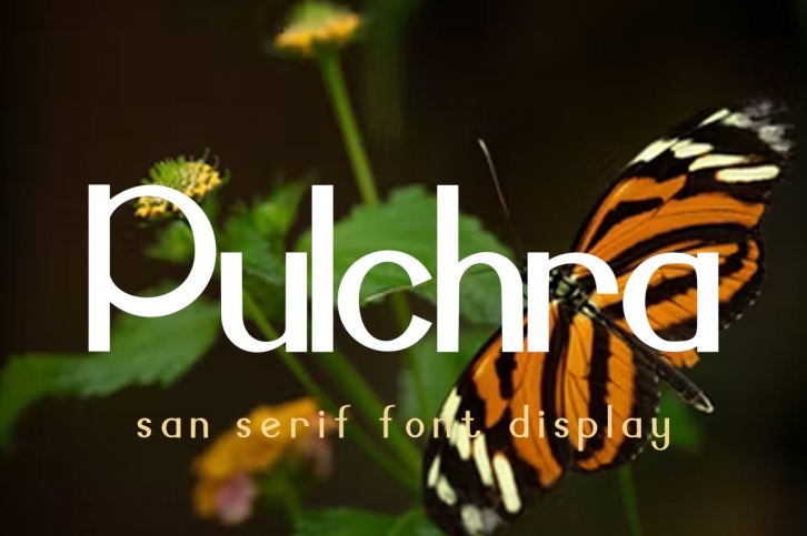 Pulchra Font Download