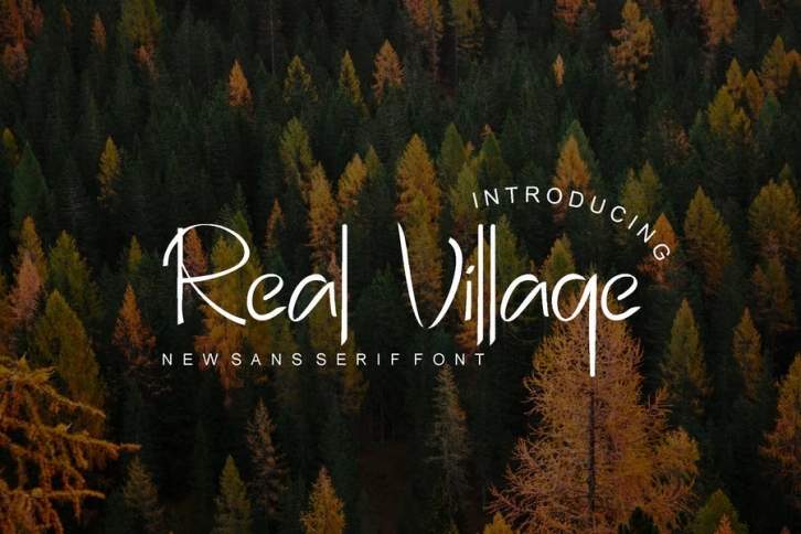 Real Village Font Font Download