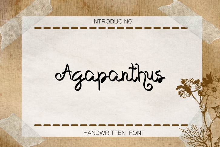 Agapanthus Font Download
