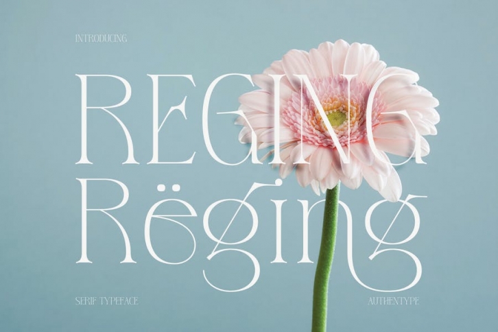 Reging - Serif Typeface Font Download