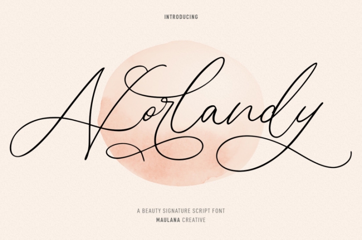 Norlandy Beauty Script Font Font Download
