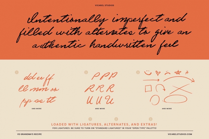 VS Grandma's Recipe Handwritten Font Download
