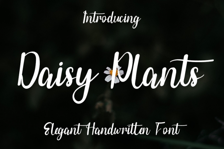 Daisy Plants Font Download