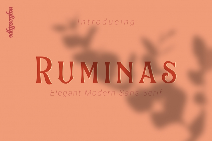 Ruminas Font Download