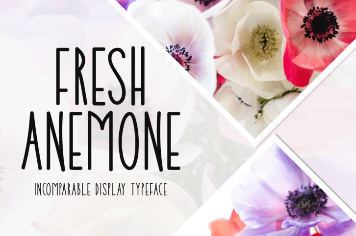 Fresh Anemone Font Download